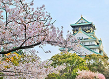 索博斯洛伊：场均2.3次禁区内触球，红军新核11号未来展望